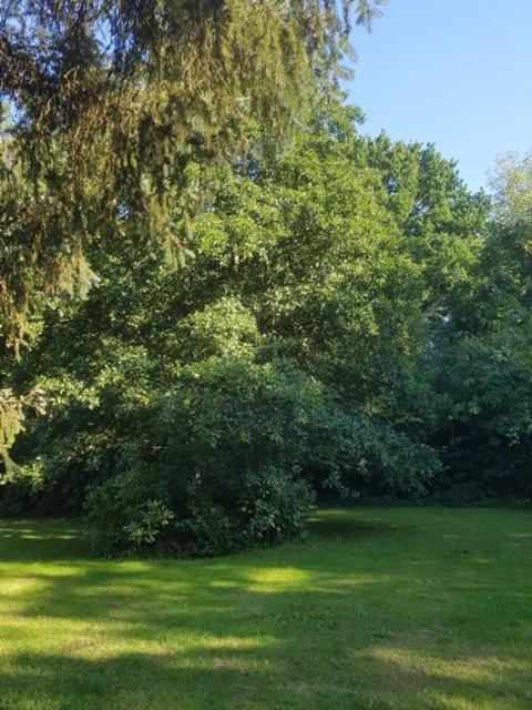 Lodge 'De Groene Parel' Схорл Экстерьер фото